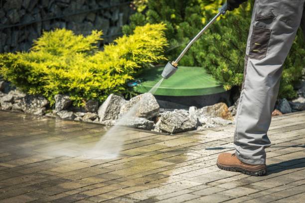 Best Roof Washing  in Big Stone Gap, VA