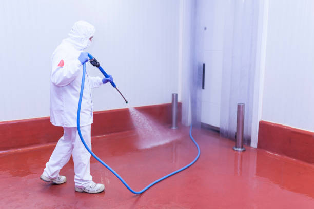 Best Pre-Holiday Cleaning  in Big Stone Gap, VA